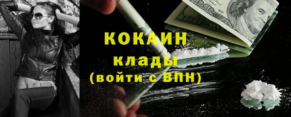 сатива Нягань
