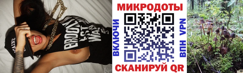 Псилоцибиновые грибы Magic Shrooms  магазин продажи наркотиков  KRAKEN ТОР  Юрга 